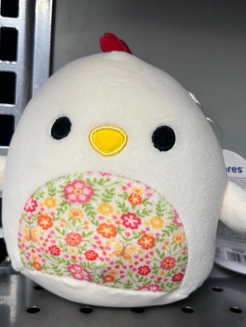Todd the Chicken 5β Squishmallows floral belly nwt